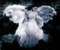 http://www.bez-hranic.cz/gallery/thumbs/goth%20angel.jpg