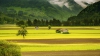 /gallery/field-176602_1920.jpg