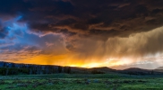 /gallery/fields-1589613_1920.jpg