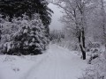 /gallery/thumbs/P1020214.jpg